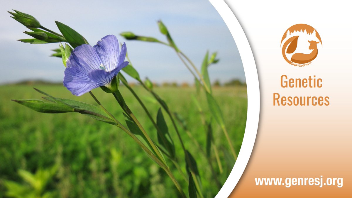 Genetic Resources journal tweet media