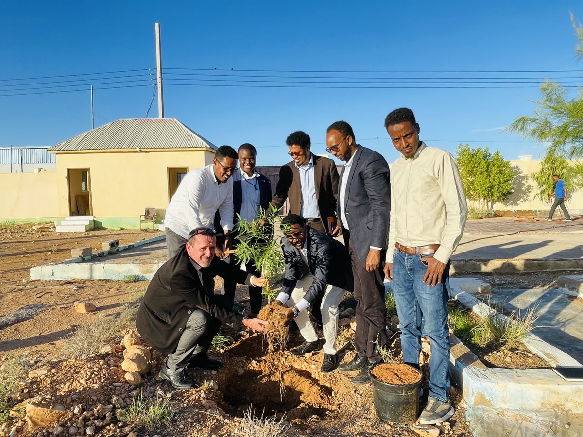 @imc_puntland DG @AbdinurAJ & the technical staff, had a fruitful discussion with the CD of @FAOSomalia @EPeterschmitt, along with a distinguished delegation. Mr @EPeterschmitt & @AbdinurAJ planted tree in our center in commemoration of Puntland Tree Planting Week.