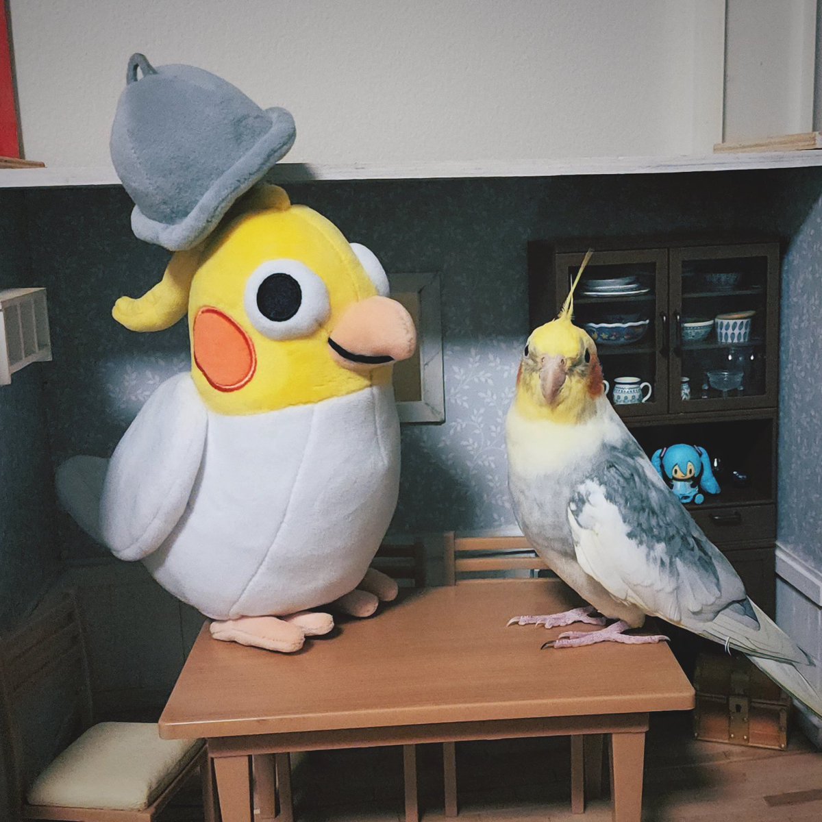 MerleTheTiel's tweet photo. Today my bestest ever fren @ChickyThoughts came to visit! 😍
Chimken is much quieter in person, she is a birb of few words but her presence is powerful. We can all learn so much from Chimken 🐥🙏🏻 
#chickenthoughts #cockatiel #birb #hat #plush https://t.co/IthmeuWXiS