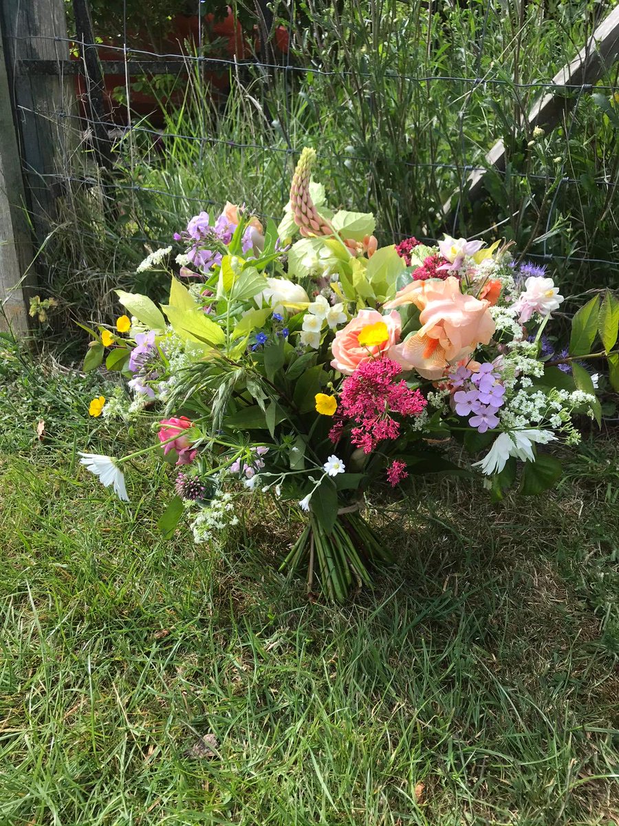 Cracking bouquet done by daughter couple of years ago! Roses Lupins Ox Eye Daises & lots more! Going to be warm & dry! My helper has had to come off big border too wet! Hey Ho!! Have a good day! #britishflowers #homegrown