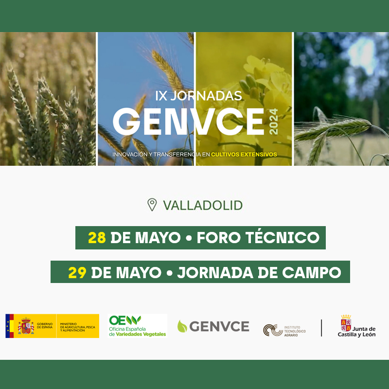 📌 IX Jornadas #GENVCE organizadas por @ITACYL y @mapagob 🌾 Jornadas de Innovación y Transferencia en #cultivos #extensivos de #invierno 🗓️ 28 de mayo: Foro Técnico 🗓️ 29 de mayo: Jornada de Campo 📍 #Valladolid ➕ Info ⤵️ n9.cl/alda0 #JornadasGenvce2024 @GENVCE