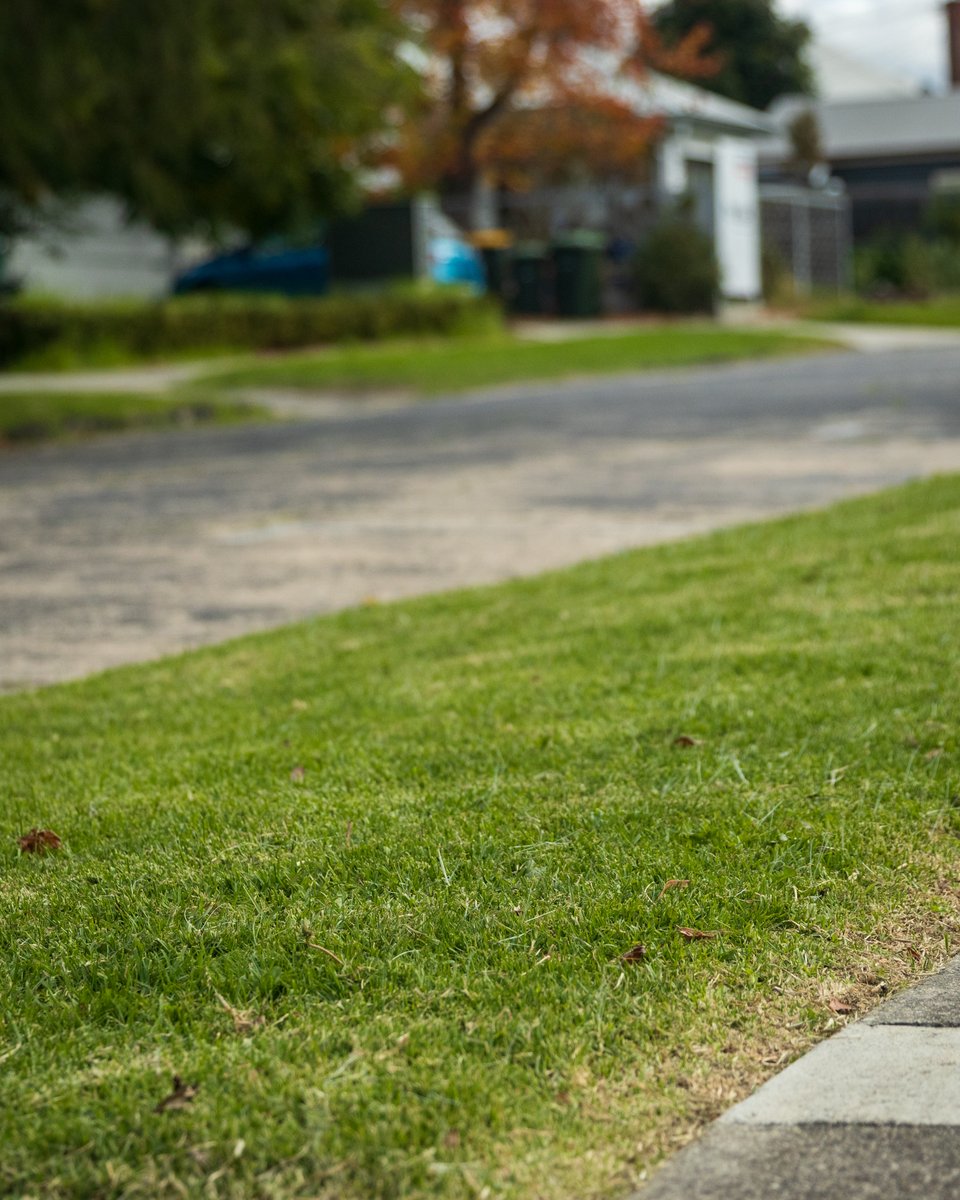 We’re seeking your feedback on providing residents with more options to create beautiful and sustainable nature strip gardens. Our draft Nature Strip Guideline and Specification is now open for your feedback. Learn more👉 yoursay.geelongaustralia.com.au/NSG