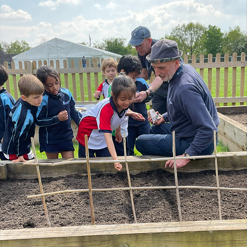 Its planting time at Gayhurst. The Reception children have been planting vegetables in their vegetable garden with Mr Norley and Mr Parker #SpringHasSprung #GrowYourOwn #SiblingSchool #ELDRIC @GayhurstHM