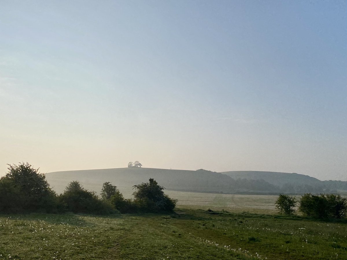The most beautiful start to any day:
the promise of hillforts and barrows.

📍 Middle Hill (left)

📍 Scratchbury Hill (right)

📷 taken beneath Battlesbury Camp

#HillfortsWednesday