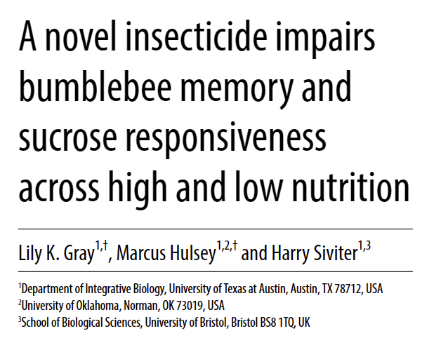 harrysiviter's tweet photo. We have a new paper out showing that the pesticide flupyradifurone (or fluffy as we call it) can impair bumblebee memory and sucrose responsiveness. Open access. Link below 🐝 @royalsociety @TexasScience @BristolBioSci 

https://t.co/HBf7PtZSrZ https://t.co/Nl1XKGzcd2