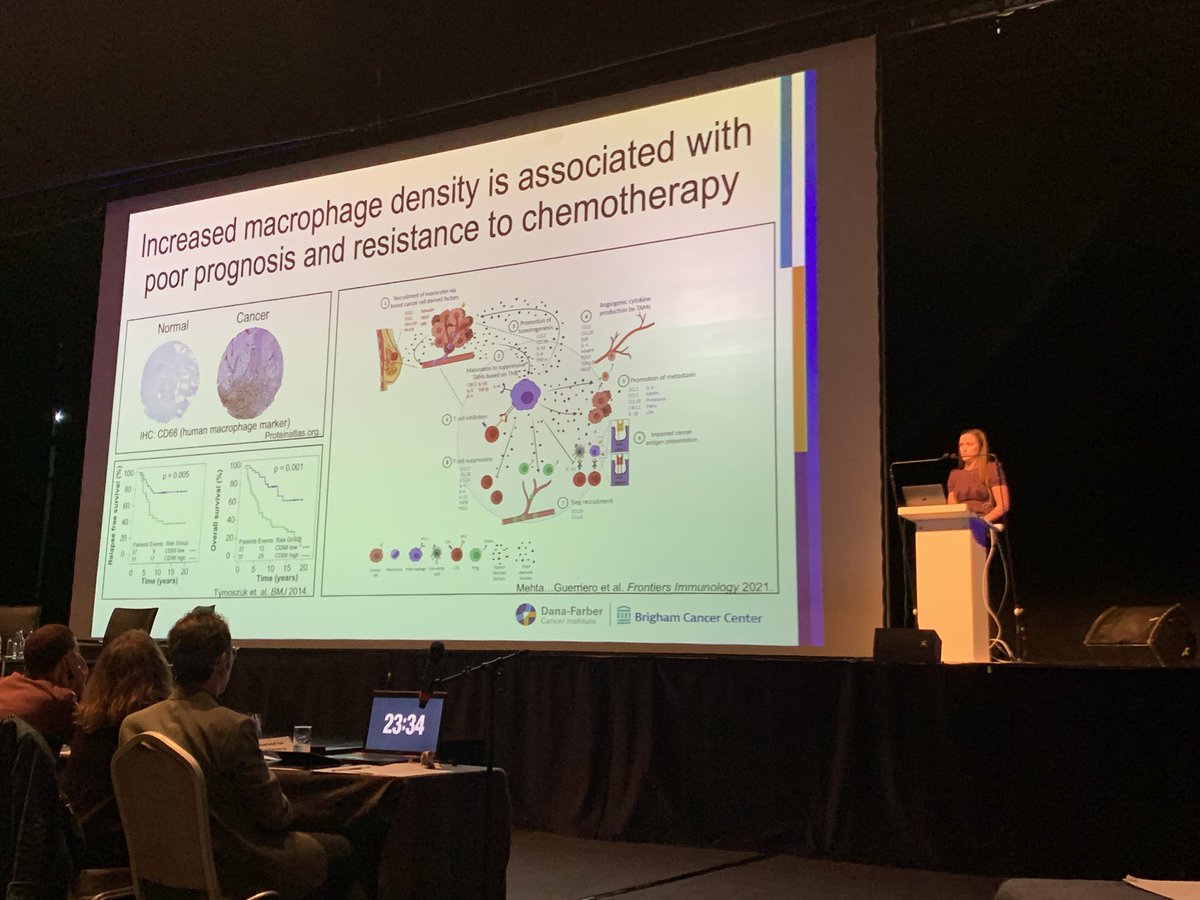 We start the day with superb talks from Julie Helft @HelftJulie and Jennifer Guerriero @JennGuerriero on TAM heterogeneity and the effect of treatment on macrophage activation in vivo. Also new Macrophage-targeting clinical trial being launched 👏🏻👏🏻👏🏻 #KSMyeloidTargets24