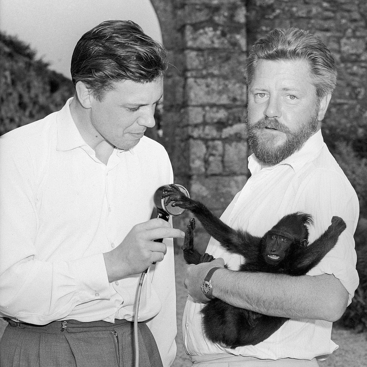 🎂 Happy 98th Birthday to Honorary Fellow of Durrell, Sir David Attenborough! 🎂 💚 Gerald Durrell and Sir David first met in South America over 60 years ago. The two formed a friendship over their shared passion for the natural world.