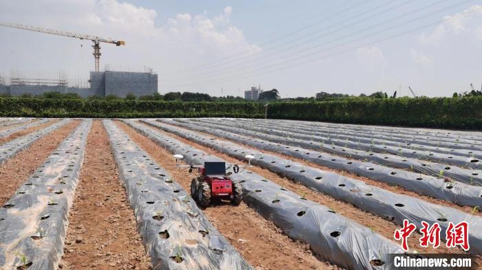 ANTOBOT, an intelligent agricultural production robot developed by a Chinese university, has won the iF Design Award, one of the world's most prestigious design awards. The robot for terraced farming comprises an operating #robot & an assisted #drone for 24/7 uncrewed operations.