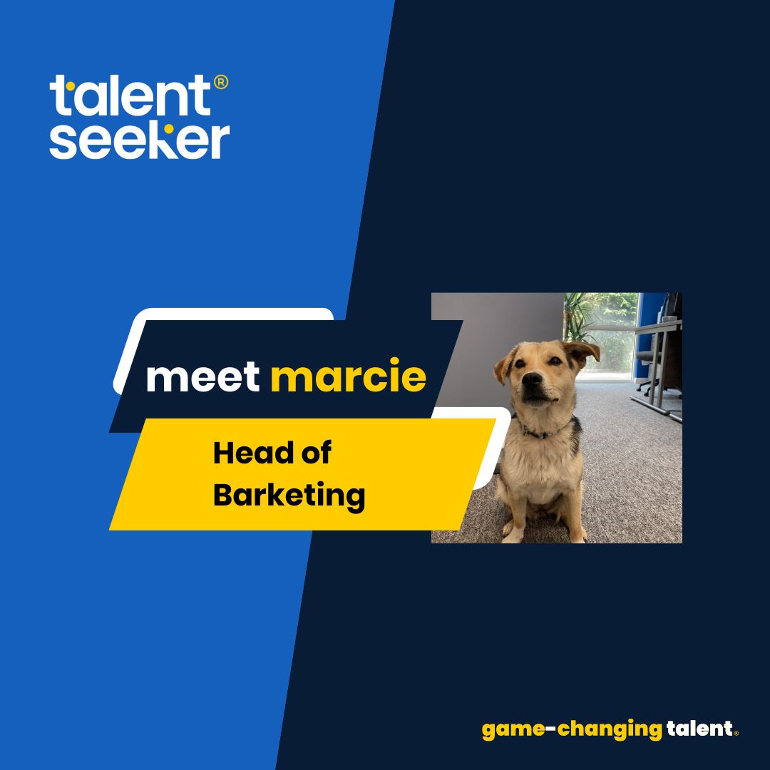 Meet Marcie, the new office dog at Talent Seeker, taking on the role of Head of Barketing. She brings joy, positivity, and wagging tails to the team, navigating the human world with pawsitivity. 🐶🐾 #NewOfficeDog #PawsitiveVibes #NewTeamMember