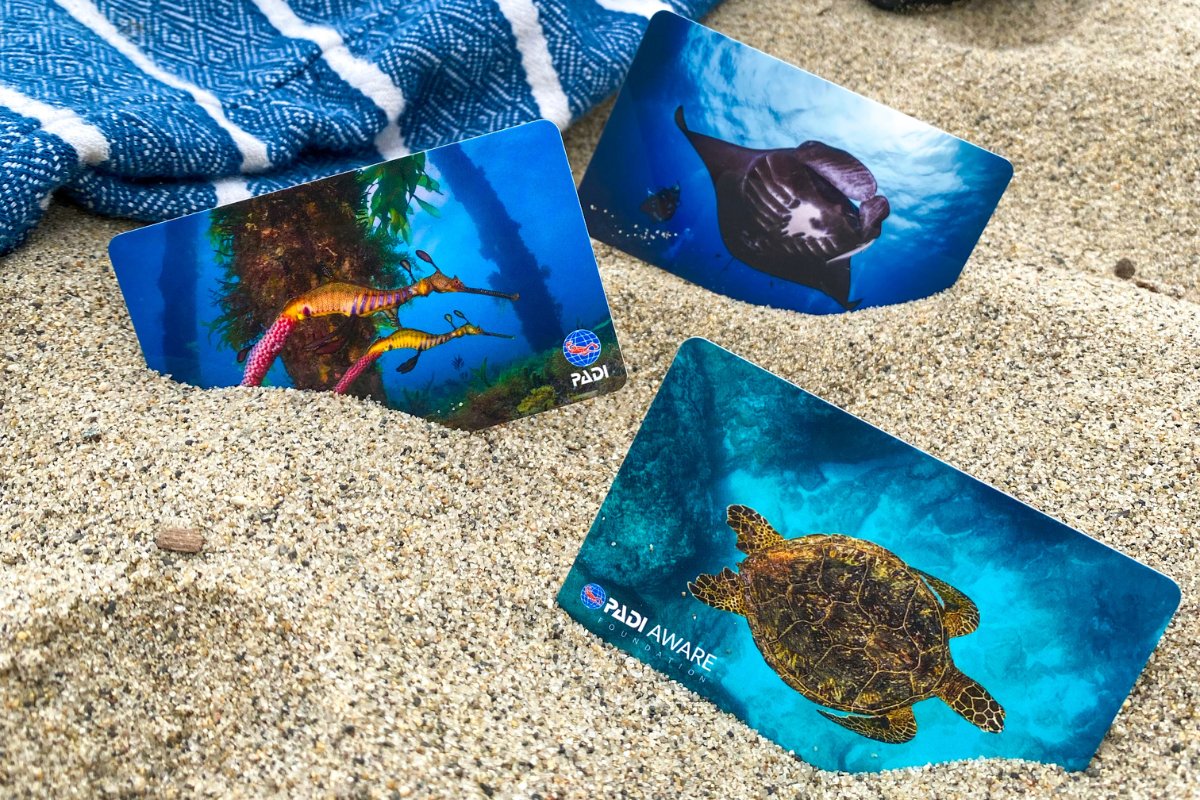 NEW LIMITED EDITION CERTIFICATION CARDS! 🪪 Get your personalized PADI card crafted from recycled materials, featuring limited edition designs by award-winning photographers! Buy both physical & eCards for a surprise discount at checkout. ♻️👉 padi.co/tc86f59n