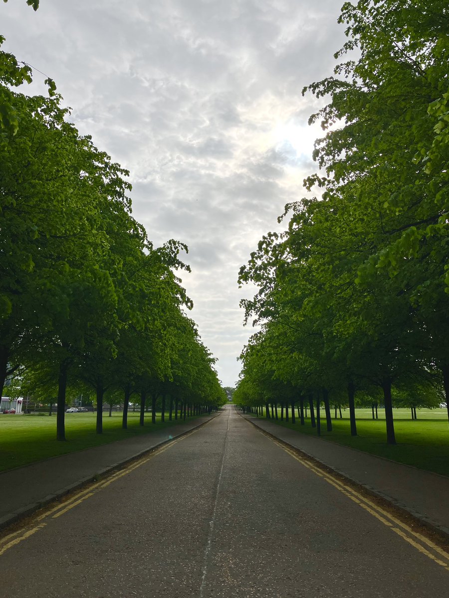 Good morning from Glasgow Green. Common lands gifted to the people of Glasgow in 1450 by Bishop Turnbull. It was used for washings, bleaching, swimming, grazing livestock & drying fishing nets. Today this boulevard was my 300m sprint! Fair wakes you up in the morning! #glasgow