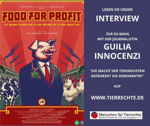 Unser lesenswertes Interview zur EU-Wahl mit der italienischen Journalistin Giulia Innocenzi! Sie sagt: „Die Tierindustrie gefährdet die Demokratie!“ Ihre Dokumentation „Food for Profit“ berichtet über die Folgen der industriellen Tierhaltung.
tierrechte.de/2024/05/08/int…