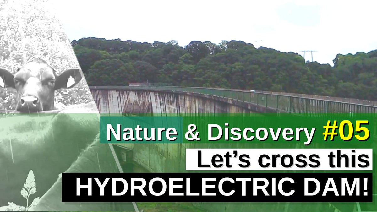 RdmThingytanK's tweet image. 🟢 LIVE
📡 
🌊🔍🦈💣
Roll on over to randomthingytank.com for a dice-licious journey!

 #NatureUncovered #DiscoverWild #ExploreUnknown #SecretsofNature #NaturalMysteries #streaming #indie #indiestreamer #randomthingytank #streamer #twitch #twitchstreaming