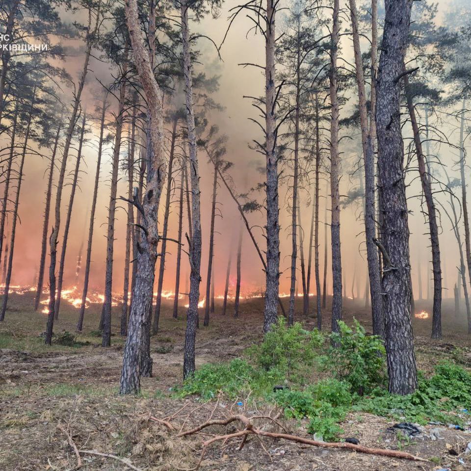 🌲⚠️ Another irreparable damage to nature due to the war. On May 7, russian shelling caused large fires in the forests of the Kharkiv region. Firefighters extinguished the fire in all three locations. We are grateful for their titanic efforts and dedication to their work 🙏…