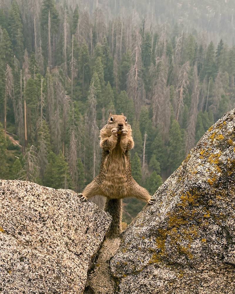 Harekete geçme zamanı... 📷 Kristin Burrill