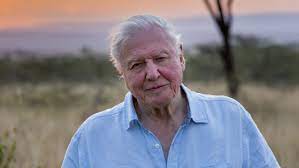 Today's Birthdays Wed May 8 2024 : author/broadcaster/naturalist David Attenborough (pic) in 1926 (98) actor/singer Rick Nelson in 1940 author Peter Benchley in 1940 singer Toni Tennille (Captain & Tennille) in 1940 (83) filmmaker Roberto Rossellini in 1906 #OnThisDay #OTD 2/3