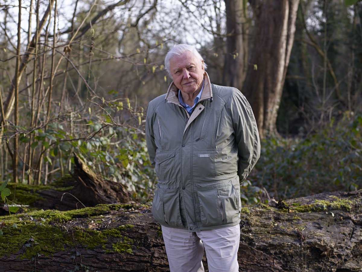 Happy 98th birthday to Sir David Attenborough, a true hero of our time. 🎉 Our President Emeritus, thank you for everything you have done for conservation, our natural world, and for inspiring us all. 💚