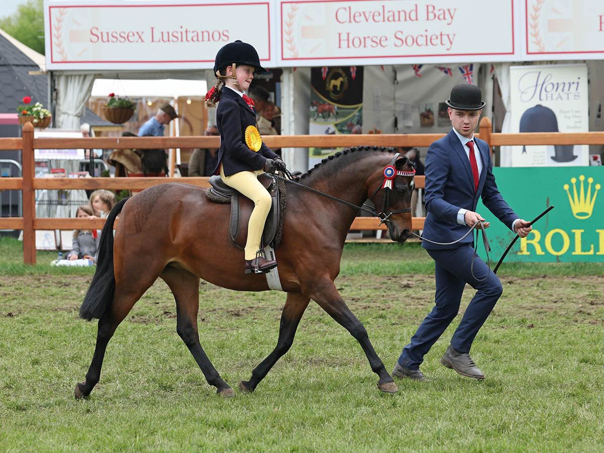 FSEquestrian's tweet photo. Matilda's impressive achievements at Royal Windsor! Congratulations to her for riding her heart out and earning 4th place. Her resilience and dedication truly embody the spirit of a Felstedian. 🌟 https://t.co/jbQNlTB7Ld