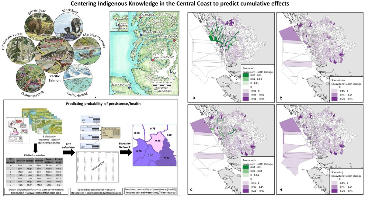 Predicting regional cumulative effects of future development on coastal ecosystems to support Indigenous governance 🌊

Uses participatory tools and a predictive framework to draw upon and interweave multiple forms of knowledge 💭

🔗 doi.org/10.1111/1365-2…