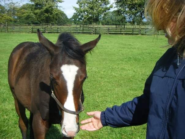 @newsellspark @newsellspark Date With Destiny as a foal. She definitely had her father's temperament & knew she was 'The Special One'
