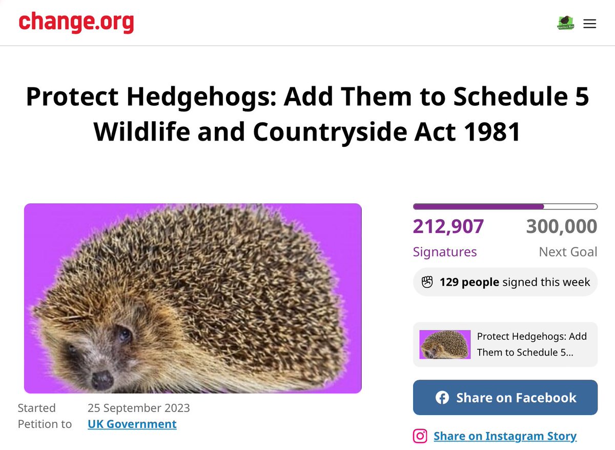 I’m still trying to get an iconic species in serious decline greater legal protection. My petition to add #hedgehogs to Schedule 5 Wildlife & Countryside Act 1981 now has 212,907 supporters 💚 Join us 👉🏻🦔change.org/HedgehogPetiti… #HedgehogPetitionAwarenessWeek #HedgehogWeek