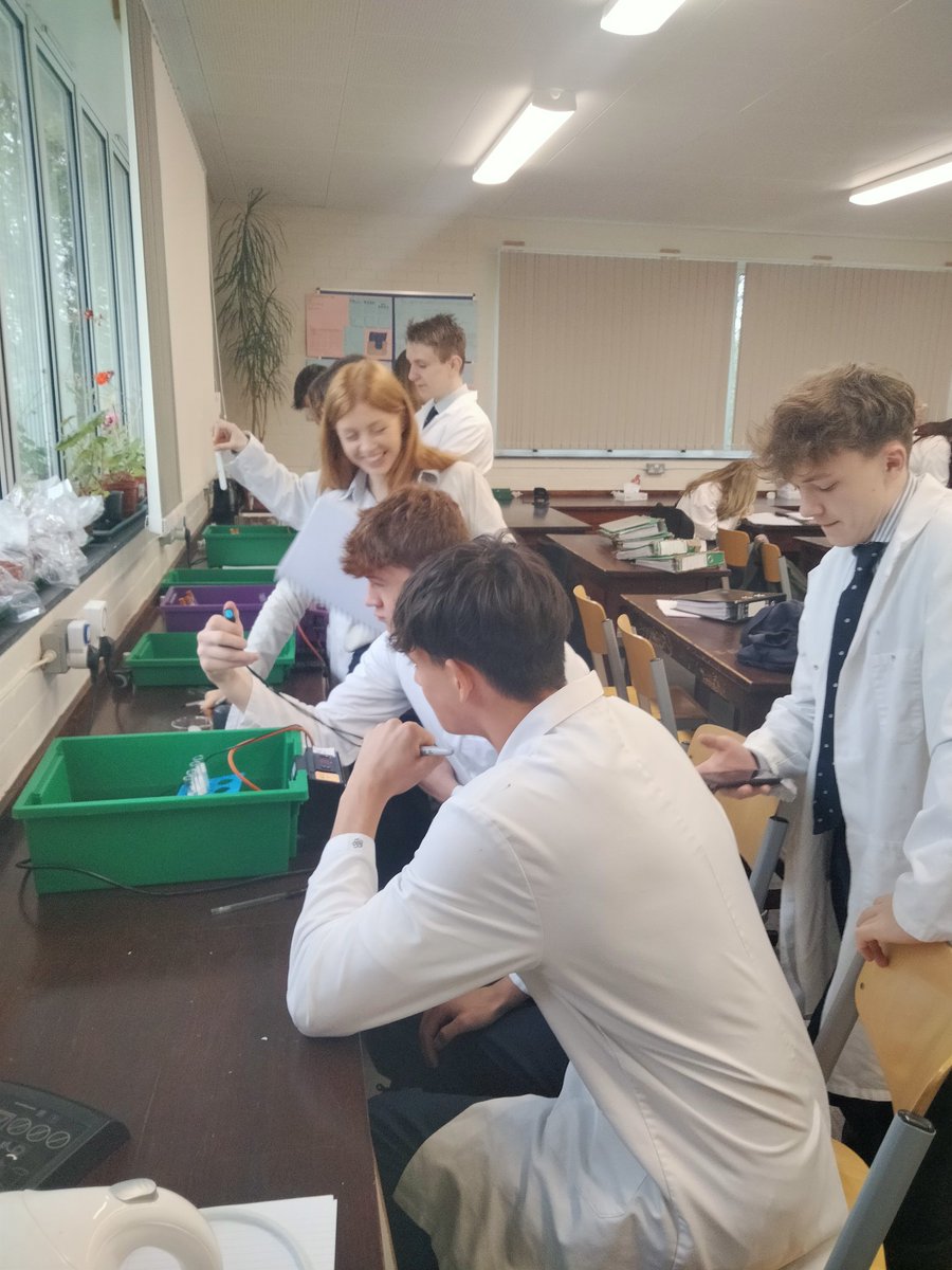 Sedbergh_STEM's tweet image. Yr12 are investigating the effect of pH on the digestion of casein with the enzyme trypsin, followed by rate calculations #AQA #requiredpractical 📈👩‍🔬🧪