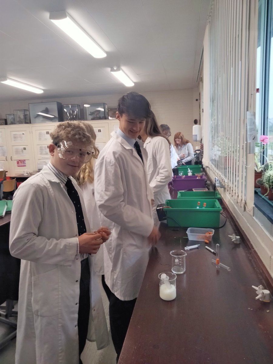 Sedbergh_STEM's tweet image. Yr12 are investigating the effect of pH on the digestion of casein with the enzyme trypsin, followed by rate calculations #AQA #requiredpractical 📈👩‍🔬🧪