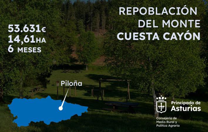 🌲Medio Rural adjudica por 53.631 euros la repoblación de casi 15 hectáreas en el monte Cuesta Cayón, en #Piloña.

ℹ️ Amplía la información aquí 👇🏼

actualidad.asturias.es/-/medio-rural-…

#MedioRuralYPolíticaAgraria @GobAsturias