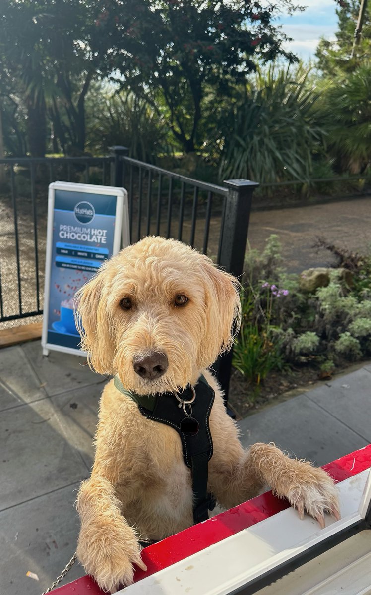 HatHats Coffee tweet media