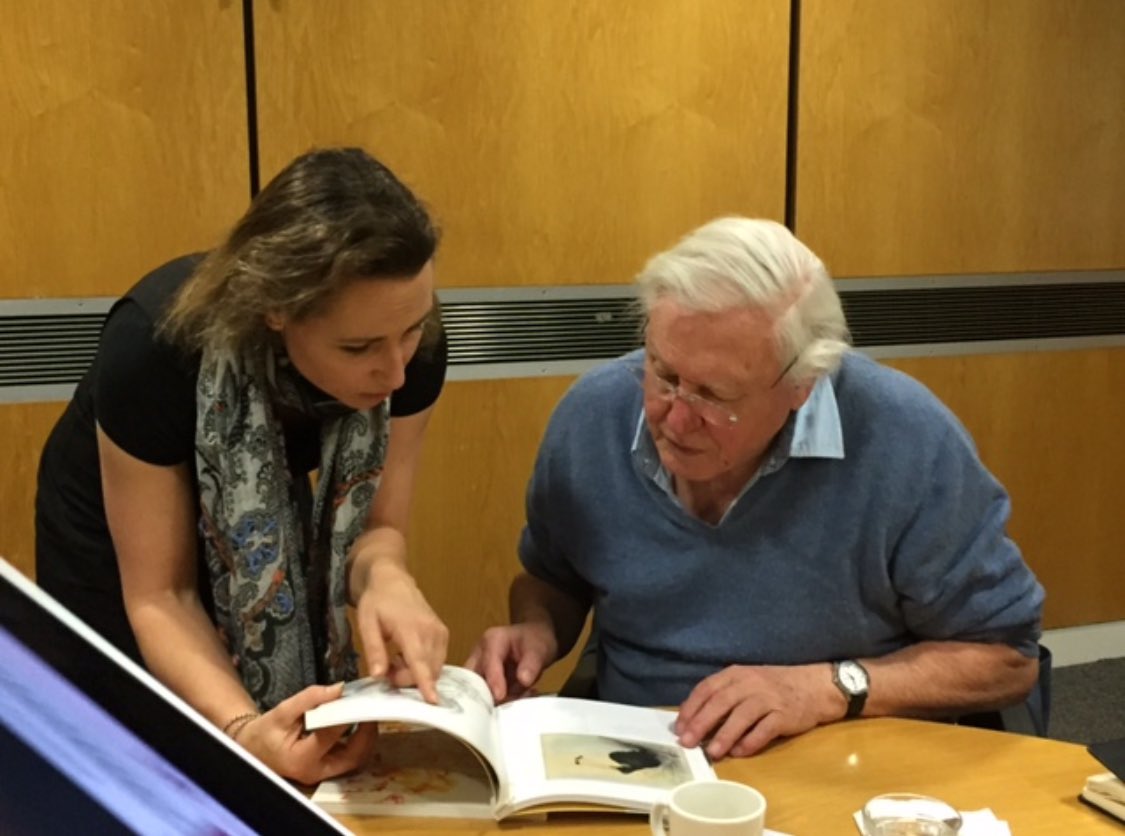 A very happy 98th #birthday to the absolutely wonderful, charming and inspirational Sir David Attenborough 🥳 I have truly treasured each time I have had the privilege of meeting and talking with you about @NHM_Library ‘s collections and the natural world 💚