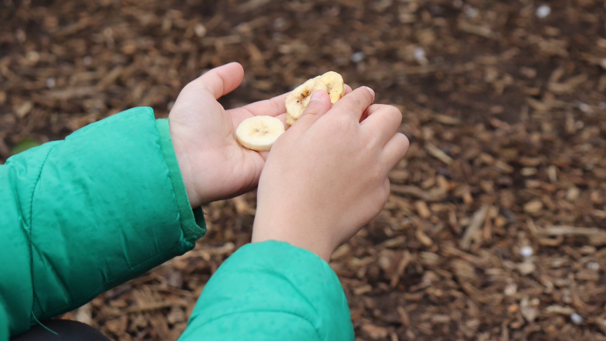 TastEd (@tastedfeed) on Twitter photo We've got fully funded teacher training sessions available for primary schools in <a href="/DerbyCC/">Derby City Council</a> and <a href="/Derbyshirecc/">Derbyshire CC</a>.
Teachers have told us that during <a href="/tastedfeed/">TastEd</a> lessons children try & enjoy a wide variety of new foods.
Email: info@tasteeducation.com for more info We've got fully funded teacher training sessions available for primary schools in <a href="/DerbyCC/">Derby City Council</a> and <a href="/Derbyshirecc/">Derbyshire CC</a>.
Teachers have told us that during <a href="/tastedfeed/">TastEd</a> lessons children try & enjoy a wide variety of new foods.
Email: info@tasteeducation.com for more info