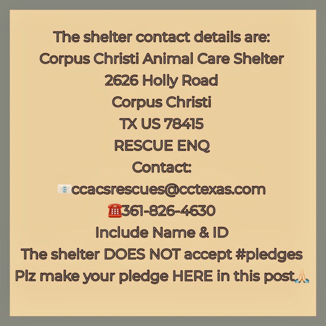 URGENT 🛟‼️ MEDICAL #RESCUE
I’m RICHIE #A367898 stray w/ injured right rear leg. Can stand but need treatment right away or I will be put down by Corpus Christi ACS in 2 days time‼️
Only 2 yo I don’t deserve 2 die!
Please save me. Call CCACS Live Release Team @ 361-8264606 ASAP