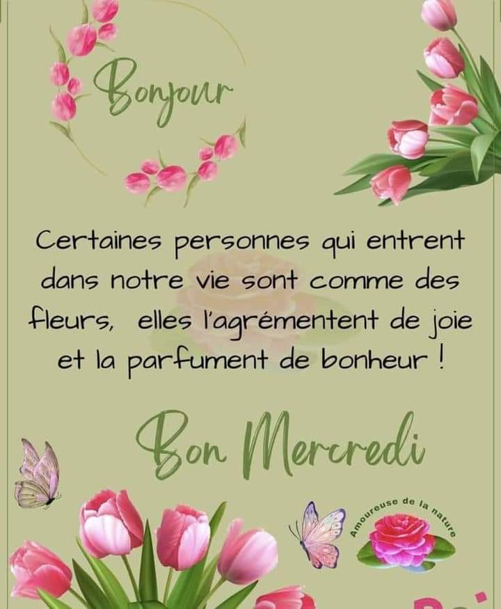 #bonjour #bonnejournée #matin #mercredi #positivywibes #citation @LdOptimistes