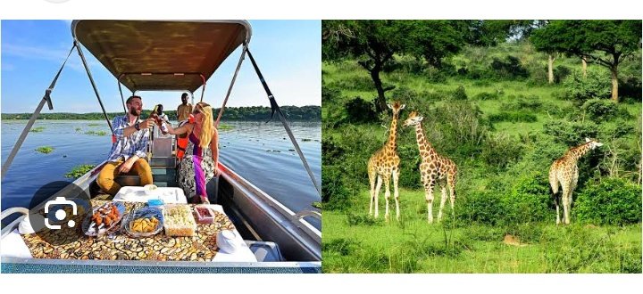 Tell a friend to #VisitUganda You will thank me later when you #RealizeUganda to be the best in tourism in the African continent.