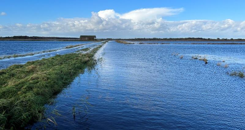 Farming Recovery Fund – NFU raises concerns with Defra Following the announcement of Defra’s Farming Recovery Fund we surveyed our members to understand what support they needed following flood damage. Read more👉nfuonline.com/updates-and-in…