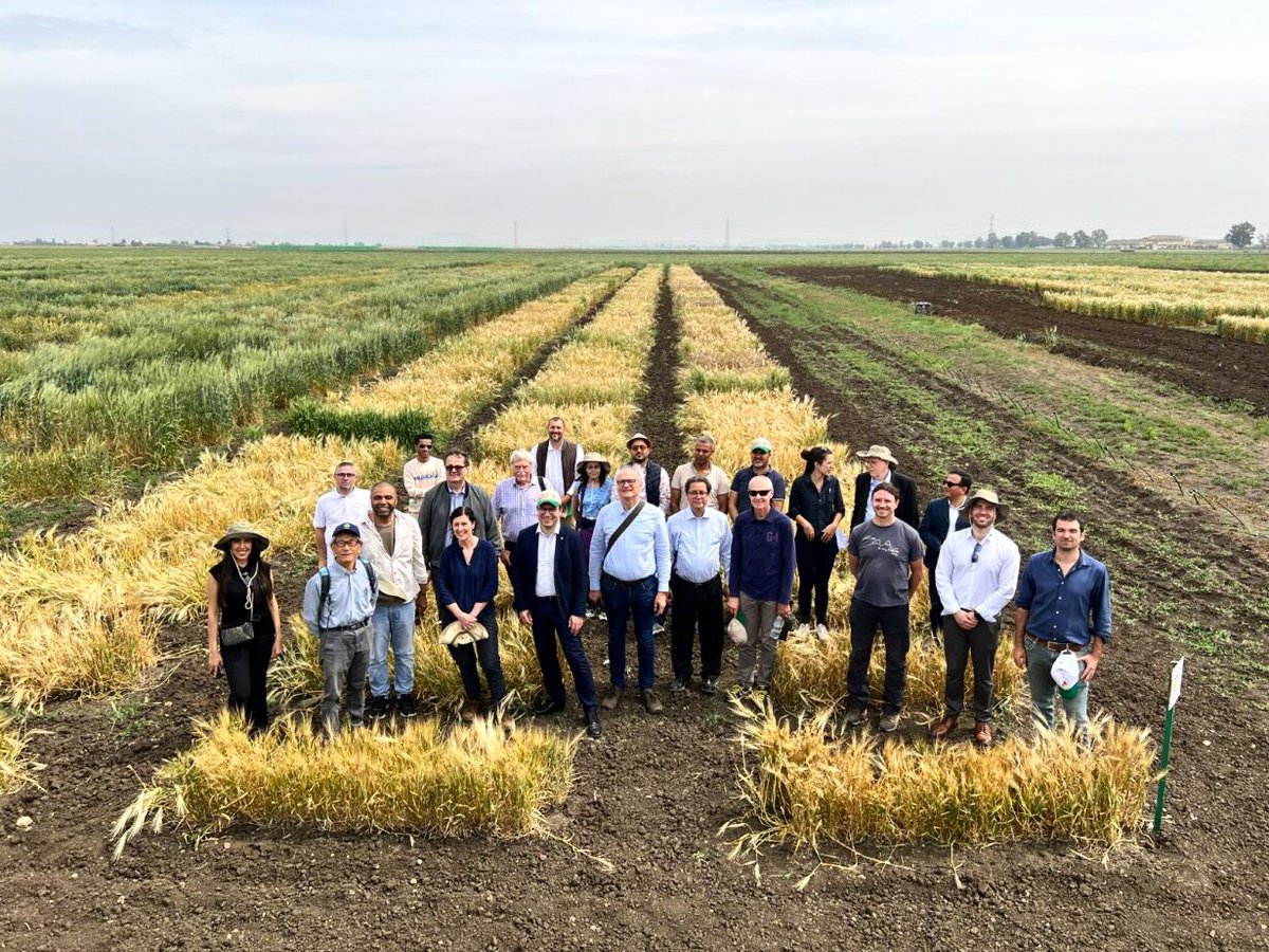 🌾Crop Diversity & Food Security Highlights from #Rabat! ICARDA welcomed H.E. @MohammedSADIKI4, esteemed guests from @CGIAR @FAO, @CropTrust, @INRAMaroc & more to discuss agricultural resilience and showcase innovations. ➡️ icarda.org/media/news/cro… #SeedsToSolutions