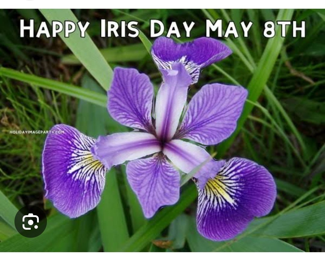 #IrisDay