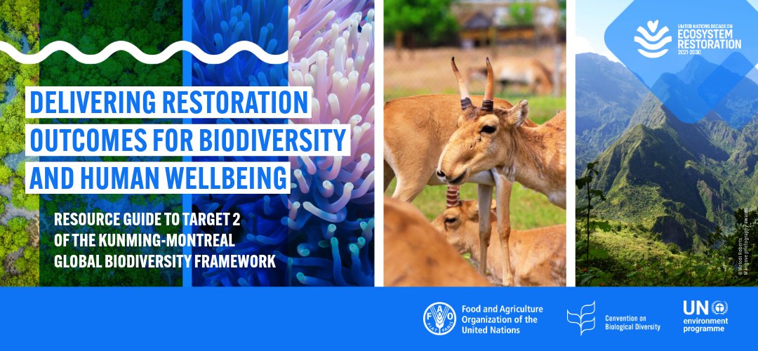 Join SER and register for the SBSTTA 26 Side Event - Delivering Restoration Outcomes for Biodiversity and Human Wellbeing to provide expert input on the draft Resource Guide for Target 2 of the Kunming-Montreal Global Biodiversity Framework. Learn more: ser.org/news/671787/