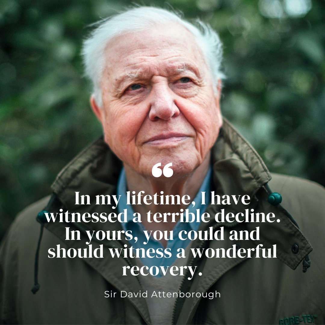 Celebrating the birthday of one of humanity's best, Sir David Attenborough. His life reminds us of the power each person holds to make a difference in our world 🌍🥳🎈