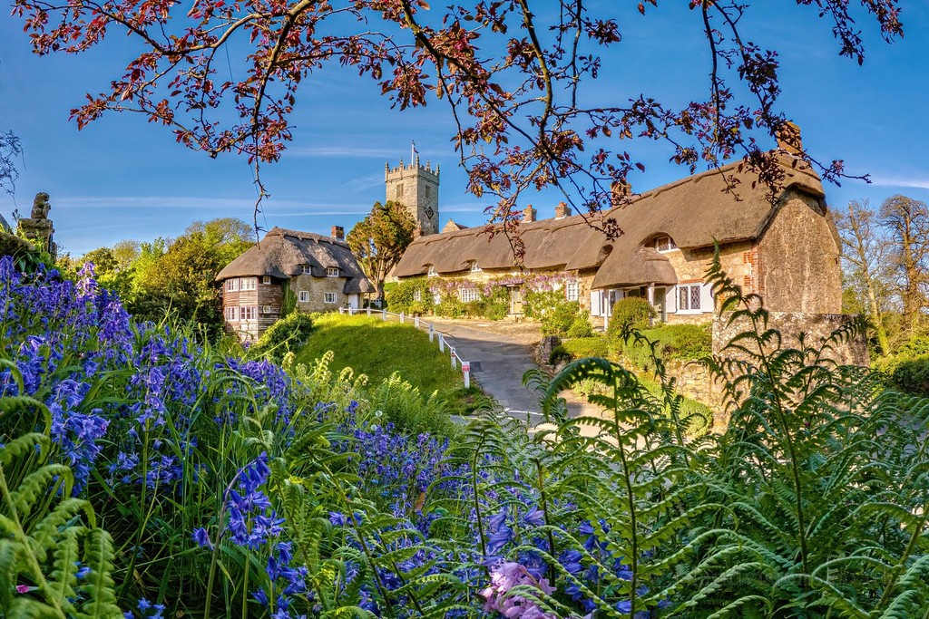 Looking beautiful in the spring sunshine 🌞 ⁠ 📌 Godshill 📸 Island Visions Photography⁠ ⁠ #exploreisleofwight #isleofwight #greatpic #picoftheday #perfect #purehappiness #spring #stunning #Godshill #bluebells #church #springsunshine #bluesky #gorgeous #natureatitsbest