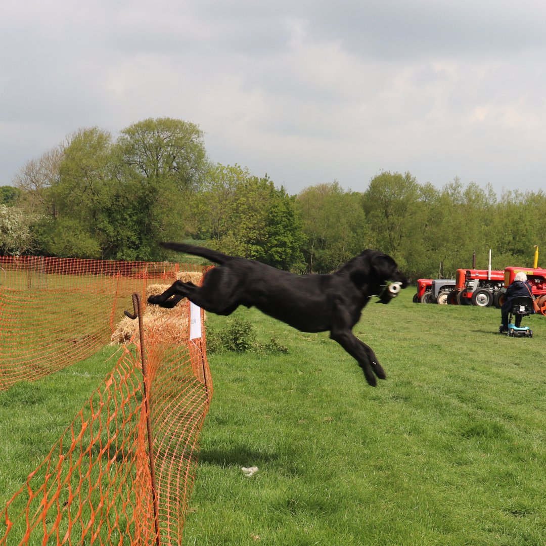 ☀️ The sun is looking bright for this Saturday's Open Day and Spring Fair at Plumpton College! ☀️ Enter your dogs into our dog show and see if they can take home the win! Don't forget U18's, current and prospective Plumpton College students go FREE! eu1.hubs.ly/H08_1960