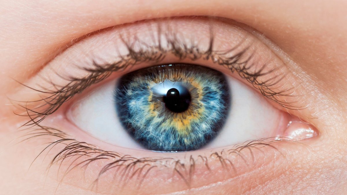 Eye floaters: annoying, but are they dangerous? Here's what you need to know about these common vision disturbances. 👁️
ow.ly/EmAV50RyxNW

#eyefloaters #visionhealth #eyecare #eyehealth #floaters #vision #eye #eyedoctor