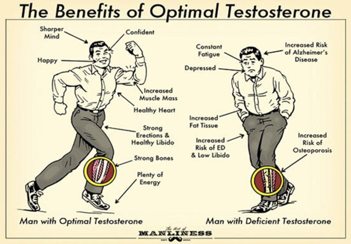 Low testosterone levels is the TRUE pandemic for modern men.

Here are 6 ways to OPTIMIZE your Testosterone levels: