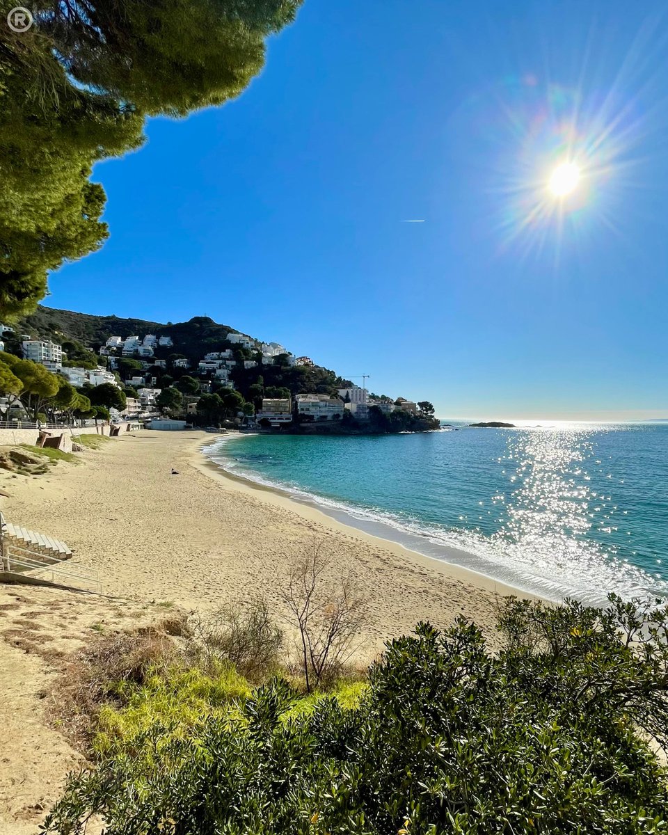 Bon cap de setmana des de Canyelles Petites! ☀️💦

¡Feliz fin de semana desde Canyelles Petites! ☀️💦

Joyeux week-end depuis Canyelles Petites! ☀️💦

Happy weekend from Canyelles Petites! ☀️💦

@costabrava @badiaderoses @catexperience @ajroses @cami_de_ronda