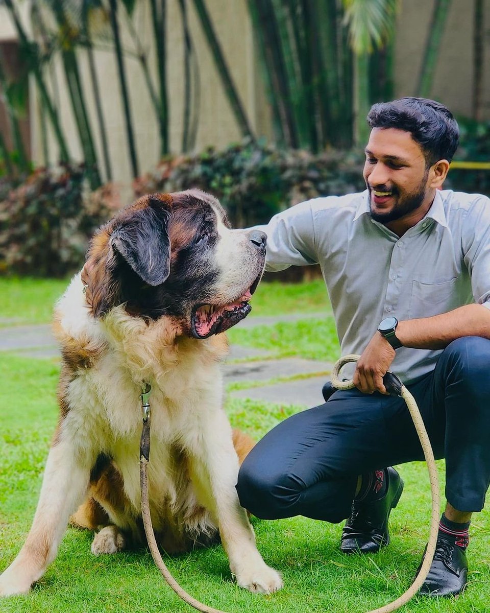 Meet Burney, the Chief Happiness Officer at The LaLiT Ashok Bangalore! Burney's day job involves spreading joy and tail wags around the property. Thanks to @vignesh_gtz for capturing this heartwarming moment! Your snapshot truly showcases the joyful spirit Burney brings to…