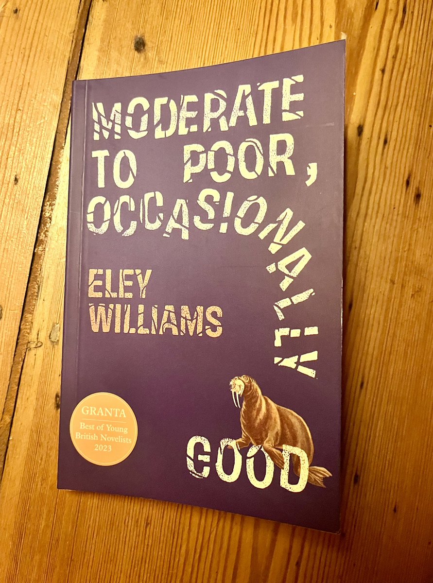 Eley Williams next book, ‘Moderate to Poor, Occasionally Good’, is a collection of vital, vivid and oddly companionable stories, often comic with a strong melancholy undertow, that make wonders from the ordinary in a heady but precise wordplay. Published 18th July.