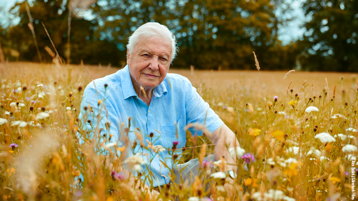 Many happy returns to #SirDavidAttenborough – still a guide, inspiration and champion for action on nature and climate change at the age of 98. Thank you for opening all of our eyes to the wonders of the natural world.