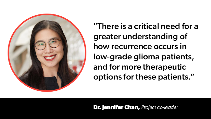 Lower-grade gliomas (also known asas IDH-mutant gliomas) are an aggressive type of #braincancer. While significant strides have been made in the upfront treatment of primary tumours, when these tumours relapse (and they always do), treatment options are extremely limited.