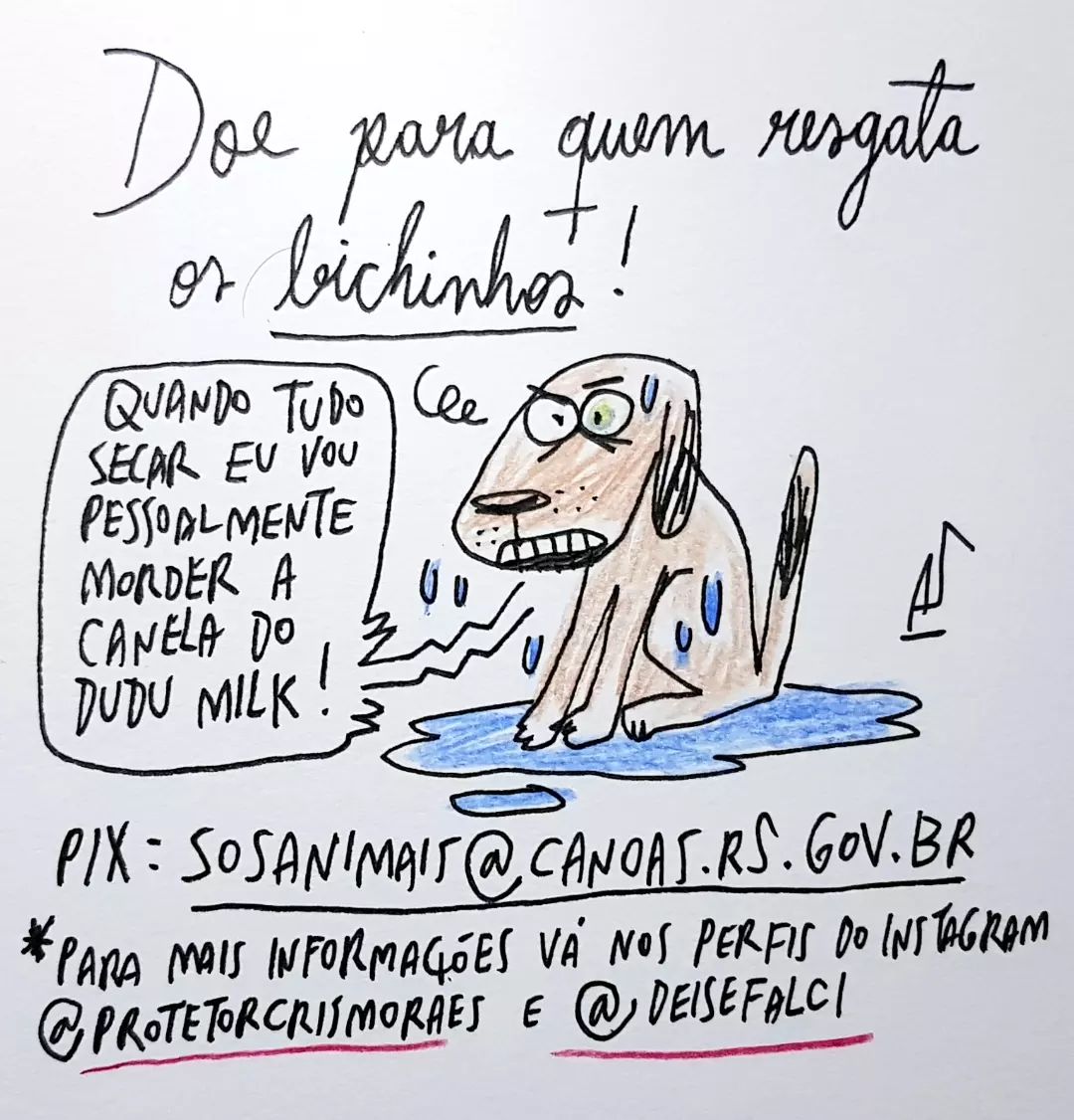 🚨 DEISE FALCI, PAOLA SALDÍVIA &amp; CRIS MORAES

PESSOAS SÉRIAS E COM UMA LONGA HISTÓRIA DE DEFESA DOS ANIMAIS. 

instagram.com/deisefalci/
PIX: deisefalci@gmail.com

instagram.com/paolasaldivia_…
PIX: p.saldivia@hotmail.com

instagram.com/protetorcrismo…
PIX: sosanimais@canoas.rs.gov.br