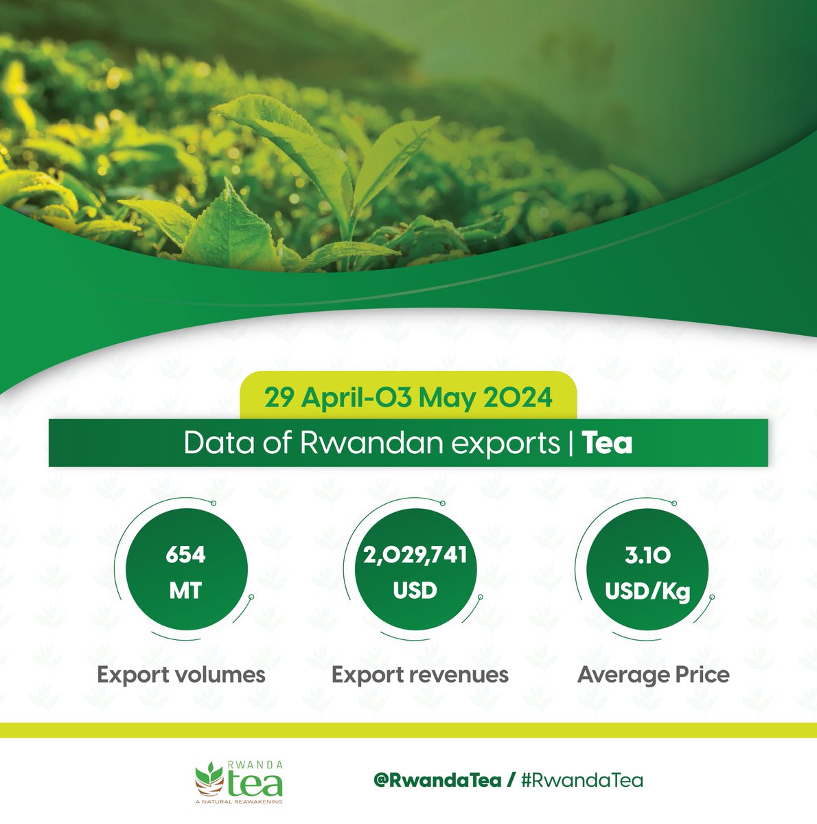 Rwandan tea keeps expanding horizons. Check out the latest exports figures (29th April to 03rd May 2024) and stay tuned for upcoming updates. #RwandaAgriExports